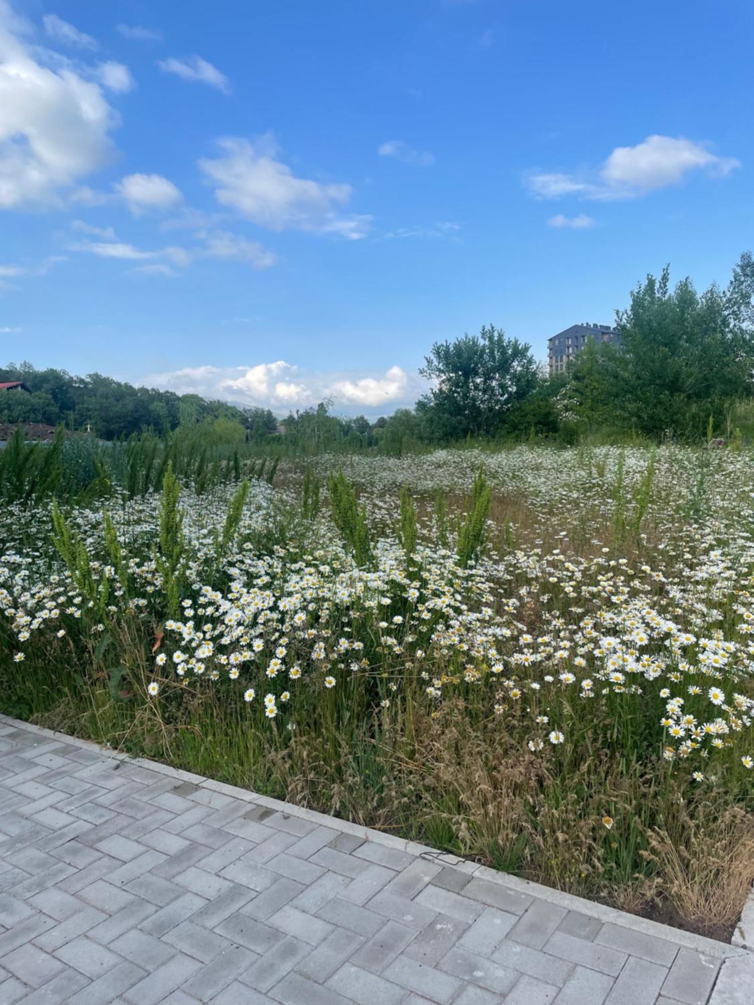 Tsaghkadzor Alvina Complex Apartman Kültér fotó